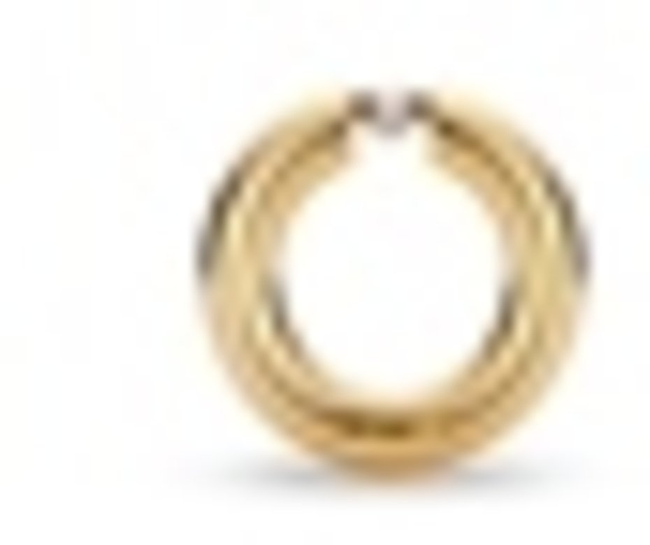 Logo Niessing